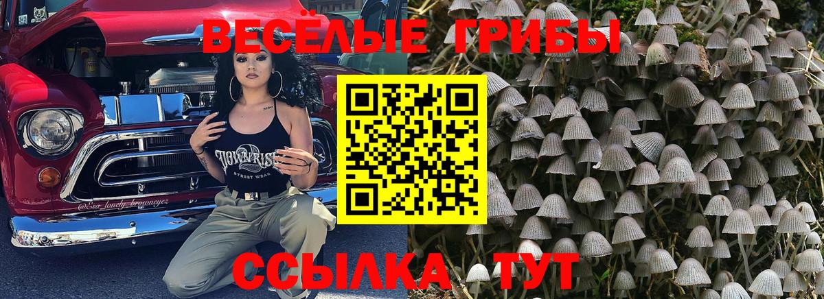 Орехово-Зуево  МЕТ  Гашиш  Вход с VPN  ГАШ  Лсд 25  Каннабис  Меф МЯУ МЯУ  